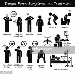 Dengue Fever Symptoms and Treatment Aedes Mosquito Pictogram ...