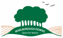 Marlborough Downs: Space for Nature | Home