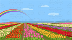 A Field Of Tulips Background