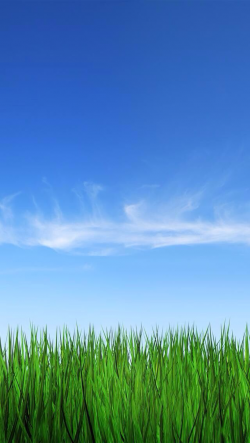Blue sky and green grass | Lock Screens in 2019 | Grass ...