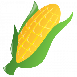 Corn Field Clip Art - Cliparts.co