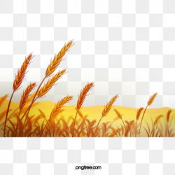 Wheat Field Png, Vector, PSD, and Clipart With Transparent ...