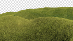 Grassy Hills, green grass field transparent background PNG ...
