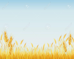 34+ Rice Field Clipart - Clip Art Library