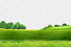 Green grass field and trees illustration, Poster Screensaver ...