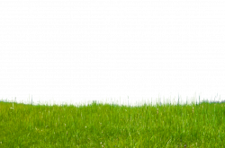 Grass on Hillside Stock Photo-0171-PNG by annamae22 | green, tree ...