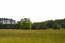 PNG Field Transparent Field.PNG Images. | PlusPNG