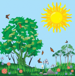 Clip art picture of a sunny field full butterflies - ClipartPost