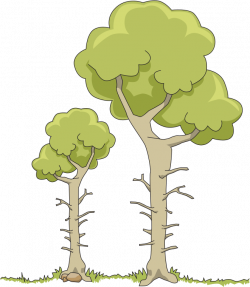 Two trees clipart - Clipground