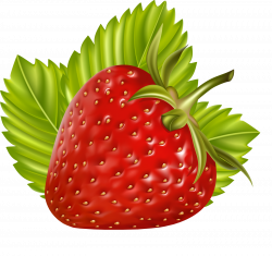 cajoline_vi_fraises_cu_05.png | Fruit illustration, Clip art and ...