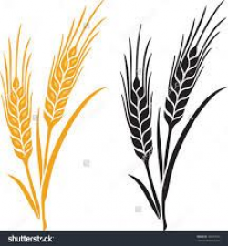 Wheat Clipart Black And White | Free download best Wheat ...