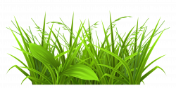 28+ Collection of Wheat Grass Clipart | High quality, free cliparts ...