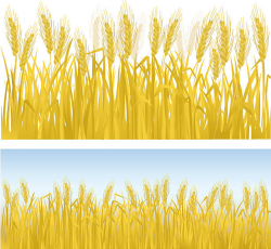 Wheat field clipart 3 » Clipart Station