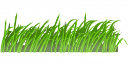 Lawn clipart green plant - Pencil and in color lawn clipart green plant