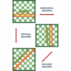 Clipart - Rows - Columns and Diagonals - Chessboard