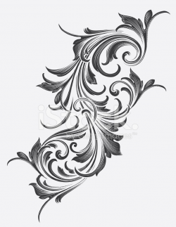 Victorian Acanthus Scrollwork Stock Vector - FreeImages.com