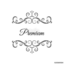 Flourishes dividers. Premium decorations. Ornate scroll page ...