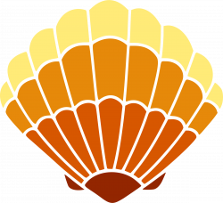 Collection of 14 free Colored clipart seashell. Download on ubiSafe