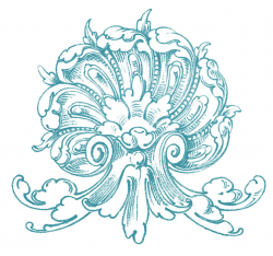 10 Ornamental Shell Clipart Images | Tattoo | Graphics fairy ...