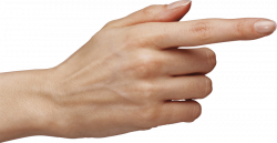 one finger hand png - Free PNG Images | TOPpng