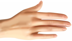 Nail Hand model Manicure Thumb - Hand Clip Art 8000*4601 transprent ...