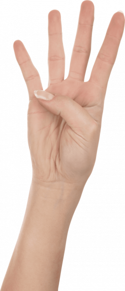 four finger hand png - Free PNG Images | TOPpng