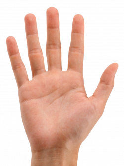 Hands PNG free images, pictures download, hand