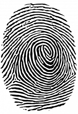 Fingerprint Authentication Clip art - fingerprint 947*1395 ...