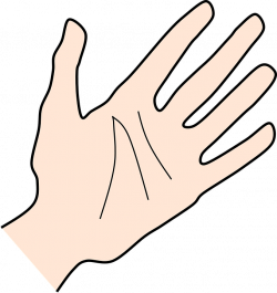 Finger clipart hand palm #715790 - free Finger clipart hand palm ...