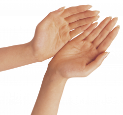 Two Hands PNG Clipart Image | 1 | Pinterest | Clipart images