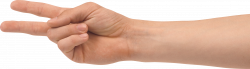 Two Finger Hand PNG Image - PurePNG | Free transparent CC0 PNG Image ...