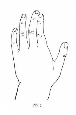 Clip Art Designs, Vector Clip Art Graghic: Free Black and White ...