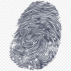 Fingerprint Clip art - Fingerprint Icon png download - 1024*1024 ...