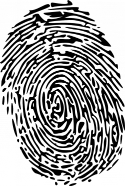 Fingerprints can be wall stickers | Harris Reception 2018 | Pinterest