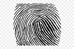 Fingerprint Clipart Large - Transparent Png Fingerprint Clip ...