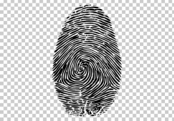 Fingerprint PNG, Clipart, Black And White, Circle, Color ...