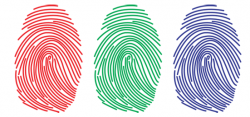 Cool Fingerprints 23329 - Clip Art Library