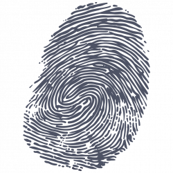 Fingerprint Grey transparent PNG - StickPNG