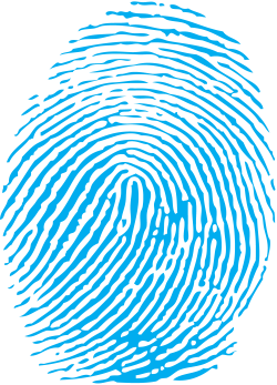 fingerprint png - Google Search | Yearbook | Pinterest
