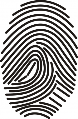 Why Apple's use of Fingerprint Biometrics is Boon to ...