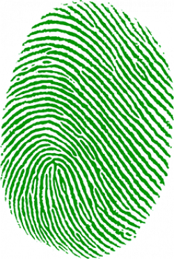 Fingerprint PNG images free download