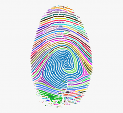 Fingerprint Clipart Green - Fibonacci Sequence In ...
