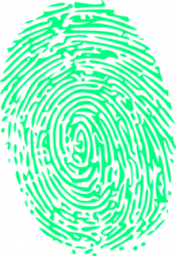 Green Fingerprint Clip Art at Clker.com - vector clip art ...