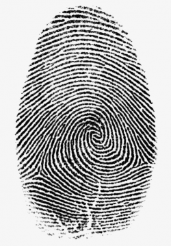 Fingerprint PNG, Clipart, Along, Along With Fingerprints ...