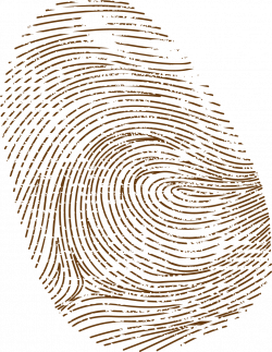 Fingerprint PNG Transparent HD Images | PNG Only