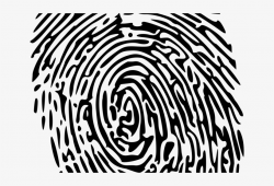Fingerprint Clipart Transparent - Forensics Clip Art - Free ...
