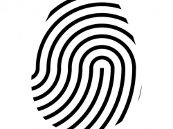 Free Fingerprint Clipart, Download Free Clip Art on Owips.com