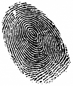 Fingerprint PNG Transparent HD Images | PNG Only