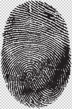 Fingerprint Scanner No Icon PNG, Clipart, Automotive Tire ...