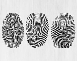 Fingerprint file | Etsy